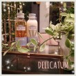 DELICATUM Series ミニセット